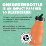 One Green Bottle CURVY Stainless Steel Water Bottle 350ml